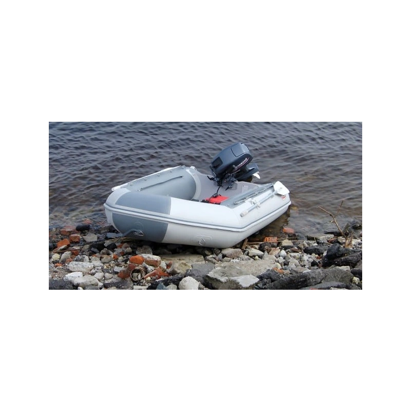 Лодка ПВХ BADGER CL 390