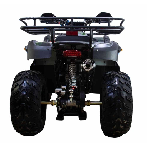 Квадроцикл ATV Classic 200 Lux 2546377