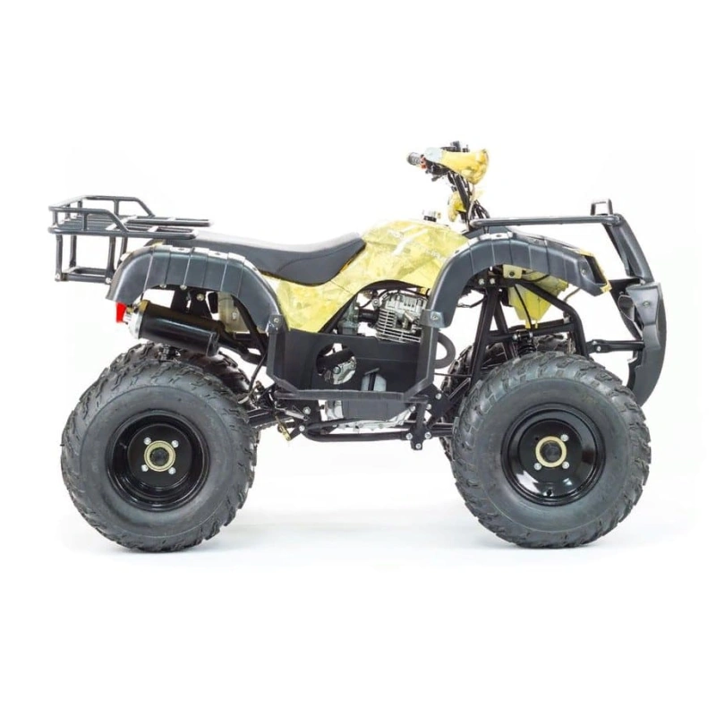 Квадроцикл MOTOLAND 250 Adventure (2021 Г.) 248047