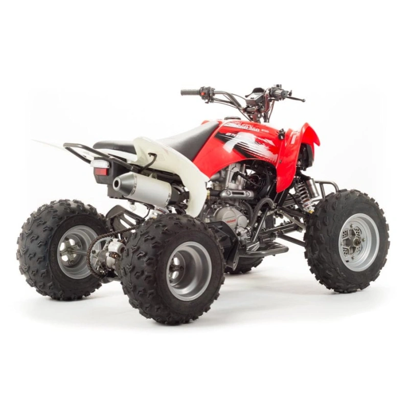Квадроцикл MOTOLAND 125S (2020 Г.)