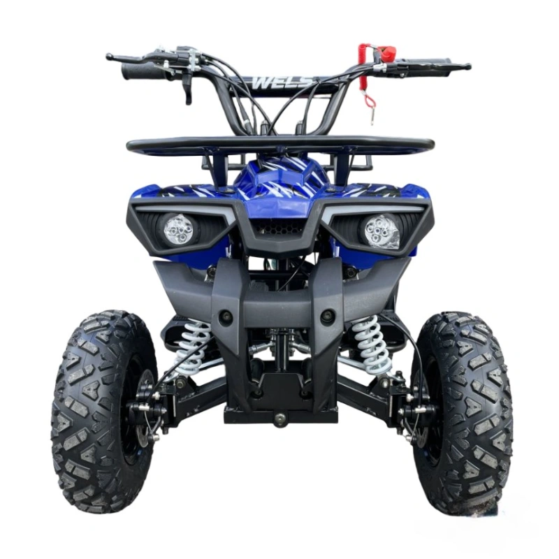Квадроцикл WELS Thunder mini 2T