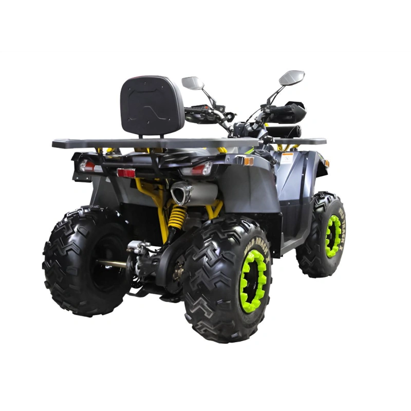Квадроцикл MOTOLAND 200 Wild Track X Winch 2588862