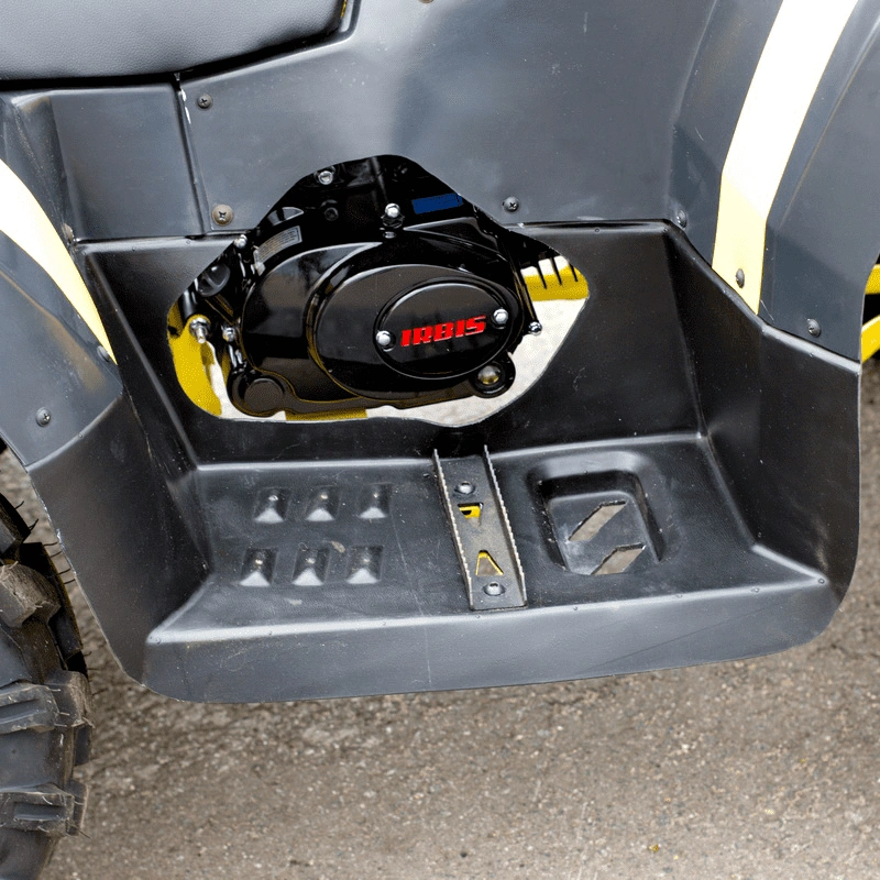 Квадроцикл IRBIS ATV 125 250039