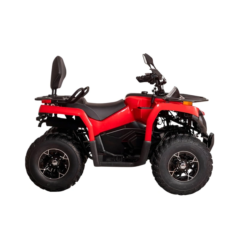 Квадроцикл BIZON YK200 Basic Carb 2590750