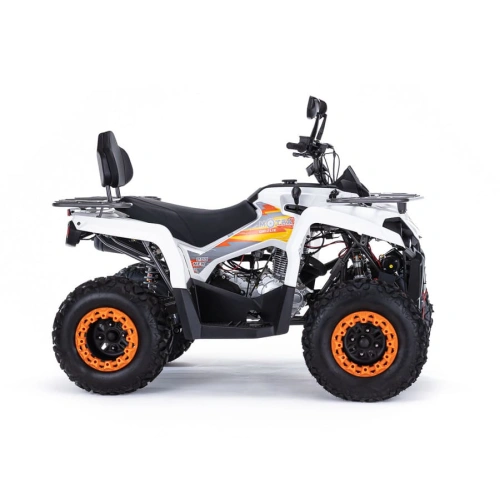 Квадроцикл MOTAX ATV Grizlik 200 Ultra 2546453