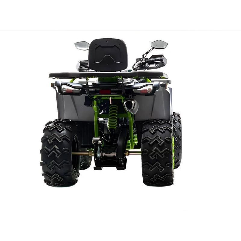 Квадроцикл MOTOLAND 200 Wild Track X Winch 2588862
