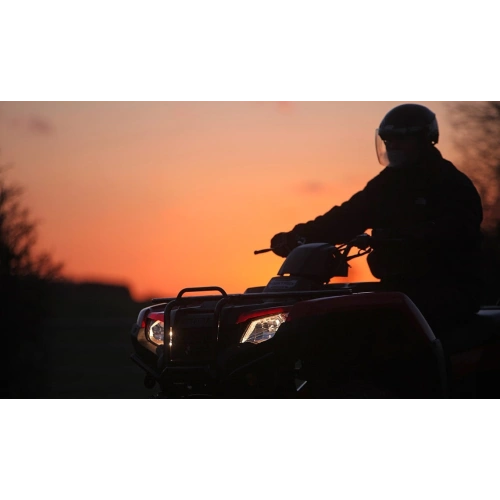 Квадроцикл HONDA TRX420 2560514