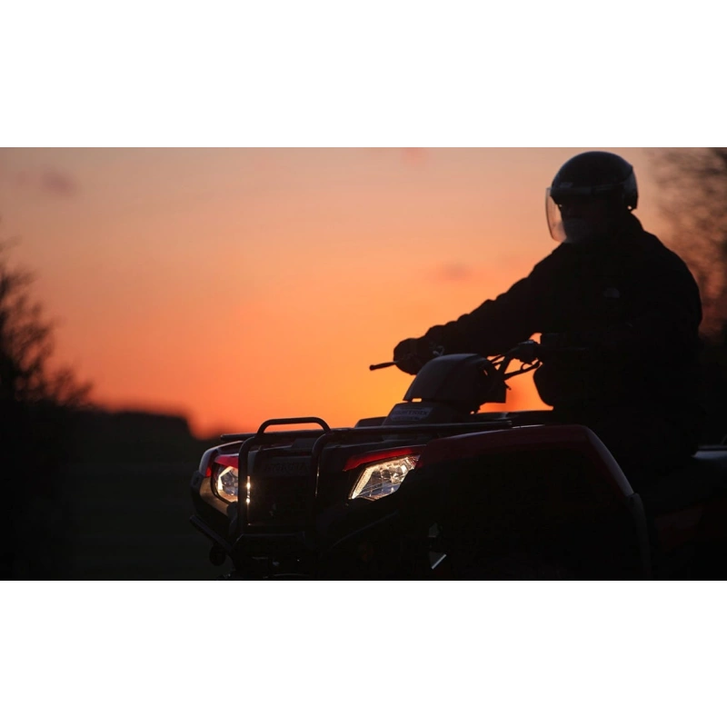 Квадроцикл HONDA TRX420 2560514