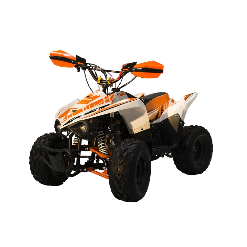 Квадроцикл RACER RC 110 Coyote 2587430
