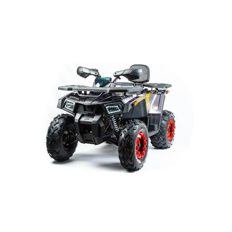 Квадроцикл MOTOLAND 200 Wild Track X Pro (2022) 248139