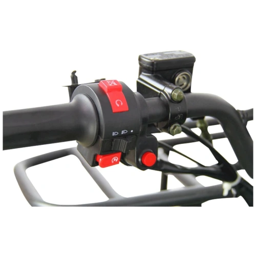 Электроквадроцикл AVANTIS ATV Classic 8E (1000W) 2547463