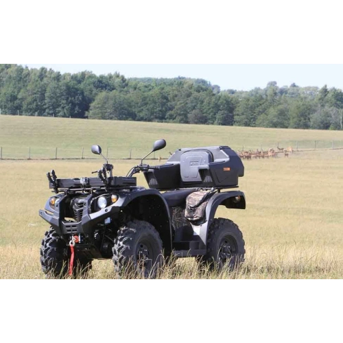 Квадроцикл BALTMOTORS Striker 700 EFI (ПСМ) 2546403