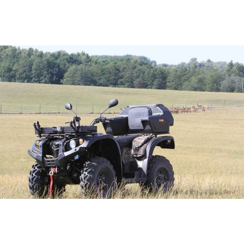 Квадроцикл BALTMOTORS Striker 700 EFI (ПСМ) 2546403