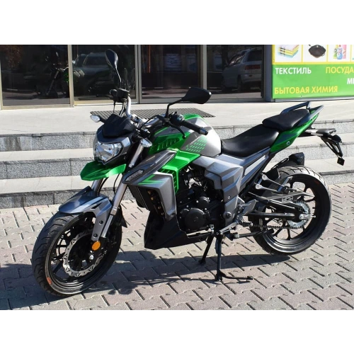 Мотоцикл REGULMOTO T-Leopard 300 2576296