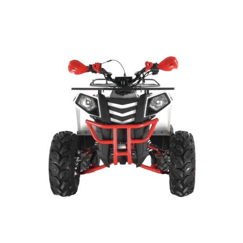 Квадроцикл WELS Thunder Evo X ST 250431