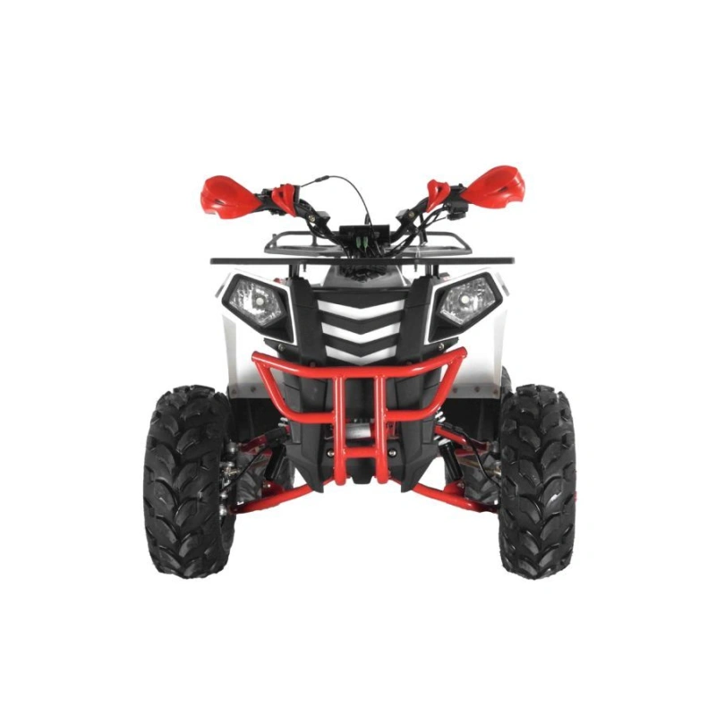 Квадроцикл WELS Thunder Evo X ST 250431