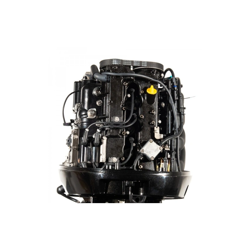 4х-тактный лодочный мотор GOLFSTREAM F100FEL-T EFI