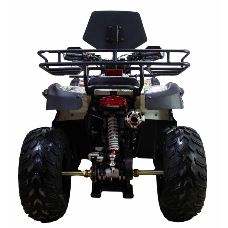 Квадроцикл ATV Classic 200 Premium 2546374
