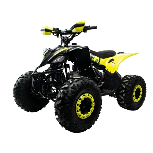 Квадроцикл MOTOLAND Vox 125 Raptor