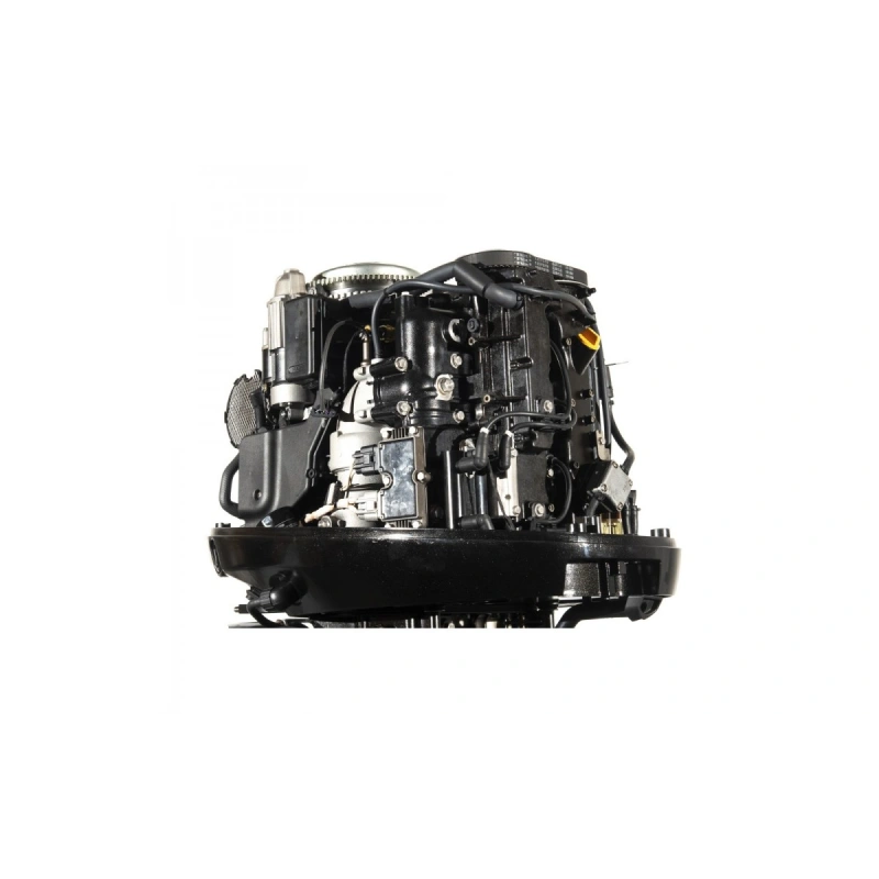 4х-тактный лодочный мотор GOLFSTREAM F100FEL-T EFI 2577540