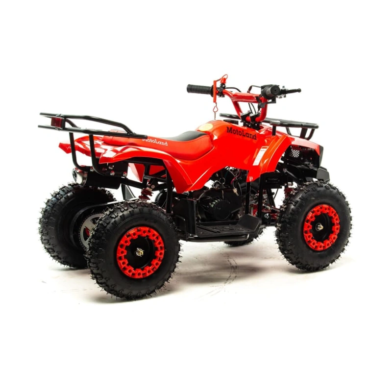 Квадроцикл MOTOLAND 50 Scorpion (2021 Г.) 251043