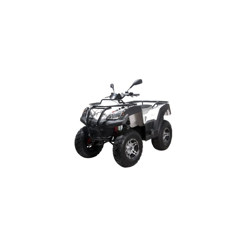 Квадроцикл ADLY Luxury ATV320U 4WD 248119