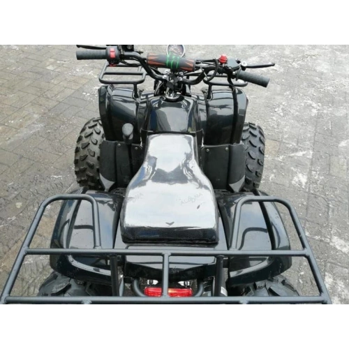 Квадроцикл RAPTOR Max Pro 150 248055