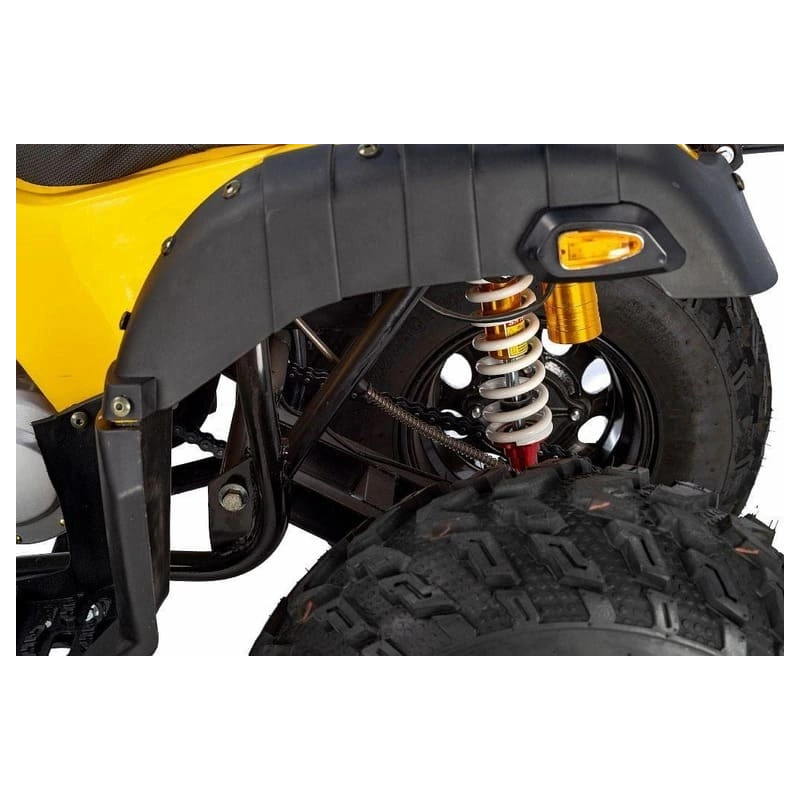 Квадроцикл RAPTOR Max Pro 250 (жёлтый/чёрный) (2024) 248056