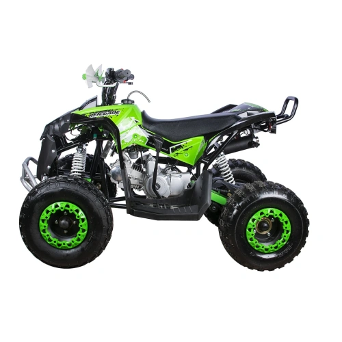 Квадроцикл YACOTA Renegade 250901