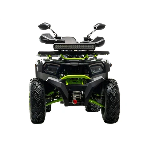 Квадроцикл MOTOLAND 200 Wild Track X Winch 2588862
