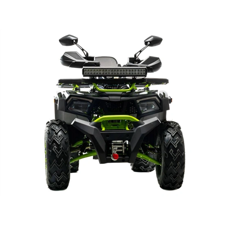 Квадроцикл MOTOLAND 200 Wild Track X Winch 2588862