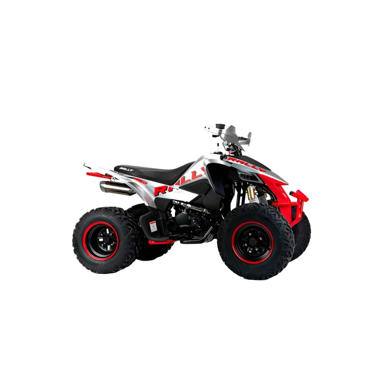 Квадроцикл MOTOLAND Rally 250 2590762