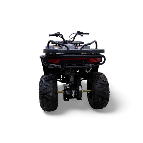 Квадроцикл MOTAX Grizlik W200