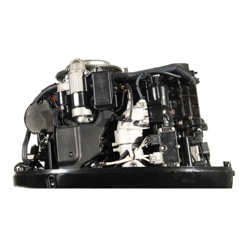 4х-тактный лодочный мотор GOLFSTREAM F115FEL-T EFI 2557926