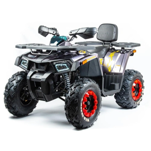 Квадроцикл MOTOLAND 200 Wild Track X Pro (2022)