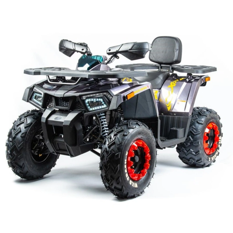 Квадроцикл MOTOLAND 200 Wild Track X Pro (2022)