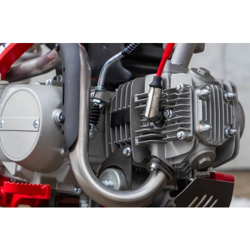 Питбайк RACER MX125E 2591388