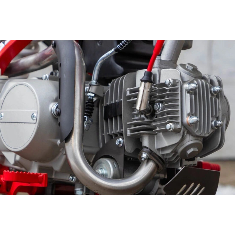 Питбайк RACER MX125E 2591388