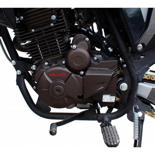 Мотоцикл REGULMOTO TE 250 PR ТУРЭНДУРО 2583972