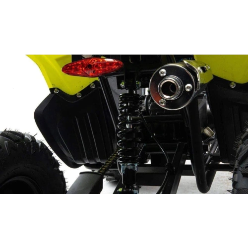 Квадроцикл MOTOLAND 125 Raptor 2591794