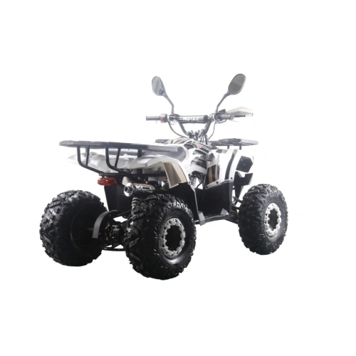 Квадроцикл MOTAX ATV Grizlik Premium 125cc 2577202