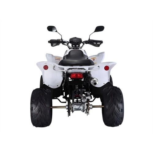 Квадроцикл RATO RТ250SТ-2 2589021