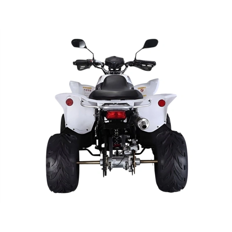 Квадроцикл RATO RТ250SТ-2 2589021