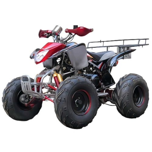 Квадроцикл BISON Raptor 150 Sport 2593890