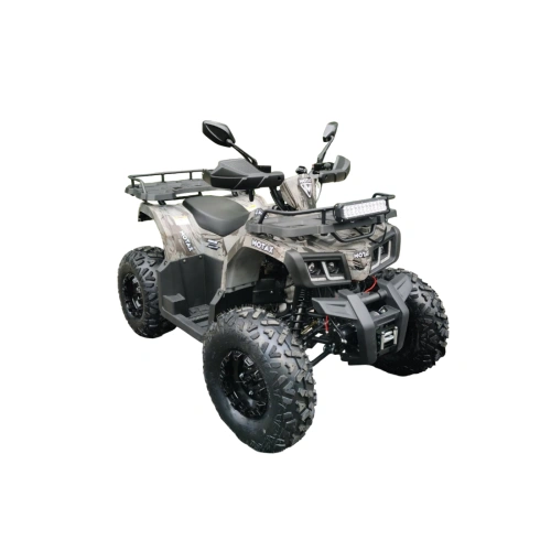 Квадроцикл MOTAX ATV Grizlik T200 Lux 2587278