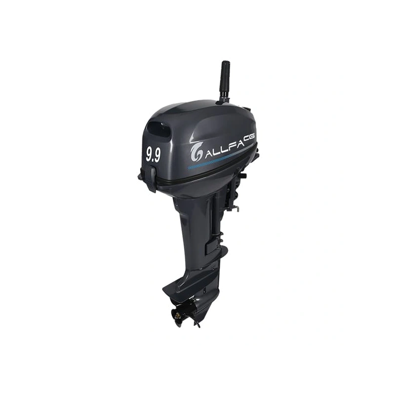 2х-тактный лодочный мотор ALLFA CG T9.9 255474