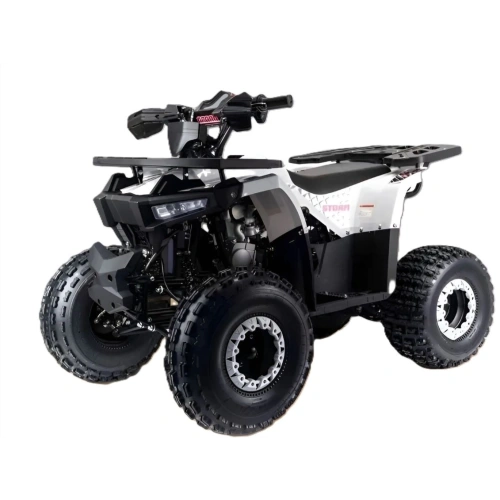 Квадроцикл MOTOLAND Storm A 125
