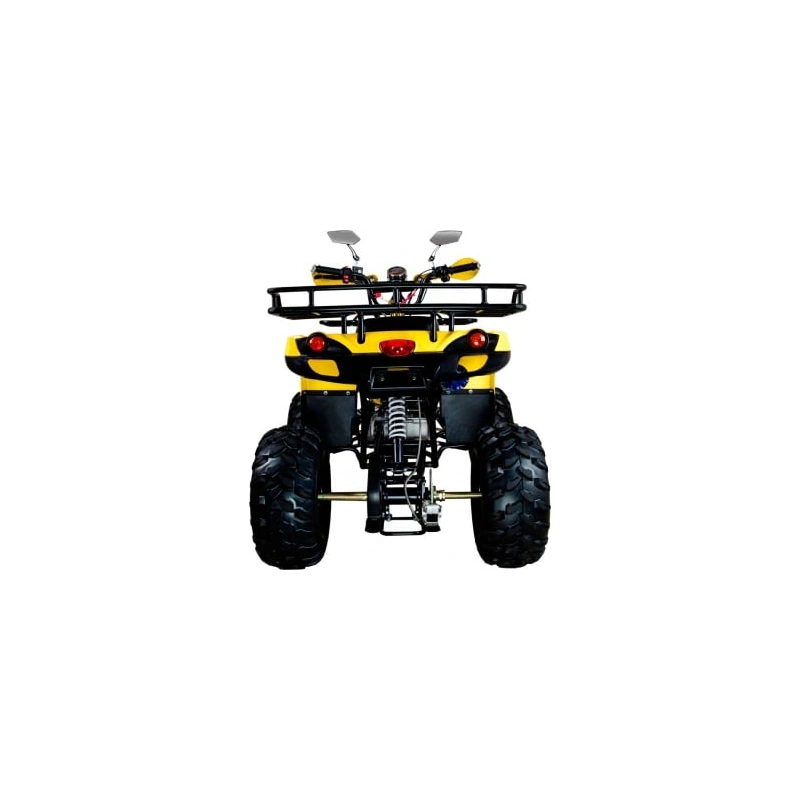 Квадроцикл AVANTIS Patriot M 2558643