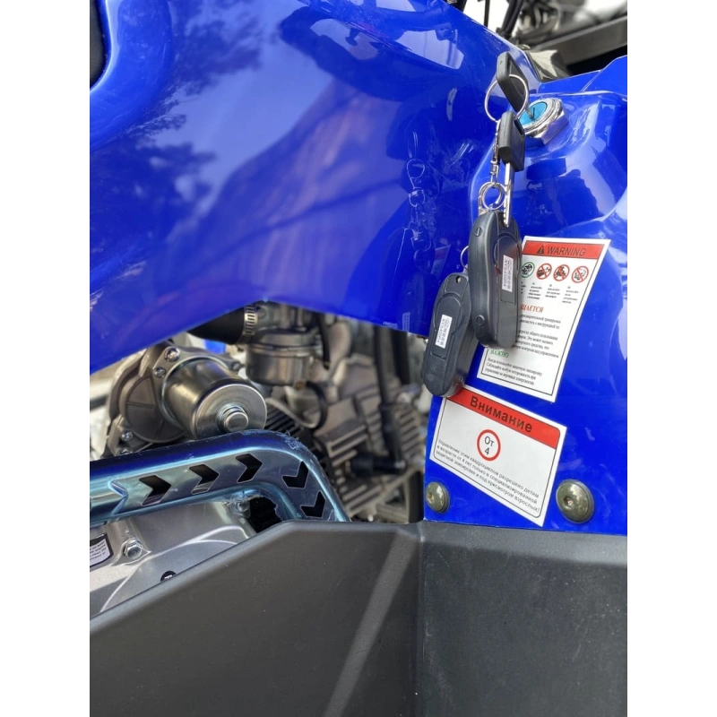 Квадроцикл GRIZZLY Aerox 125cc New 2022 2556371