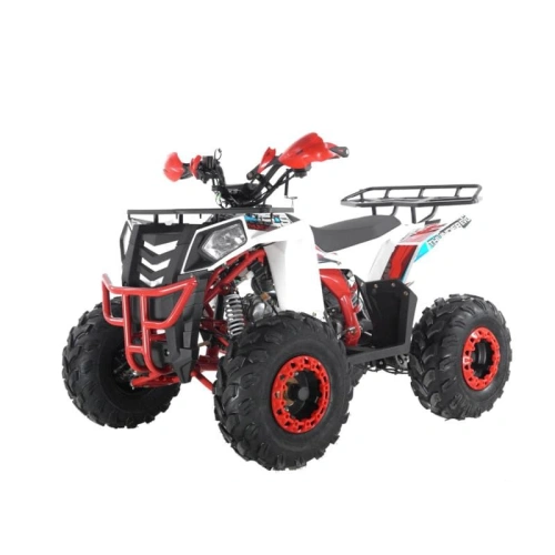 Квадроцикл WELS Thunder Evo X ST 250431